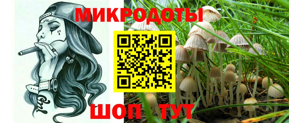 Звенигород  Галлюциногенные грибы GOLDEN TEACHER  Вход с VPN 